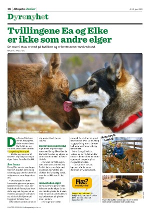 aftenposten_junior-20210615_000_00_00_016.pdf