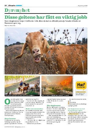 aftenposten_junior-20210629_000_00_00_016.pdf