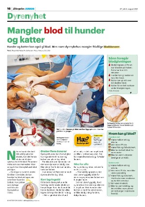 aftenposten_junior-20210727_000_00_00_016.pdf