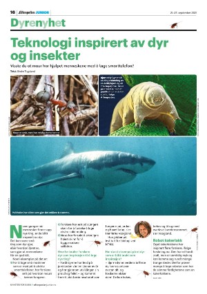 aftenposten_junior-20210921_000_00_00_016.pdf
