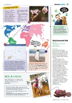 aftenposten_junior-20211005_000_00_00_017.pdf