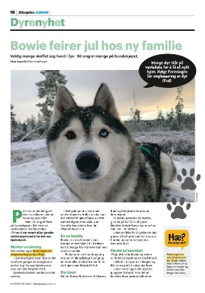 aftenposten_junior-20211221_000_00_00_018.pdf