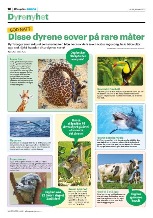 aftenposten_junior-20220104_000_00_00_016.pdf