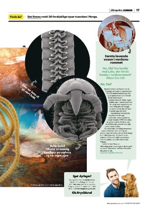aftenposten_junior-20220111_000_00_00_017.pdf