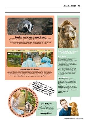 aftenposten_junior-20220125_000_00_00_017.pdf