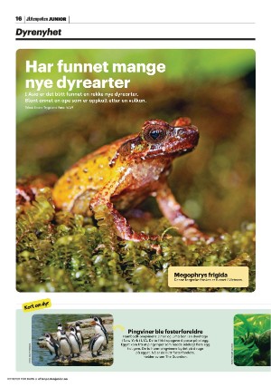 aftenposten_junior-20220215_000_00_00_016.pdf