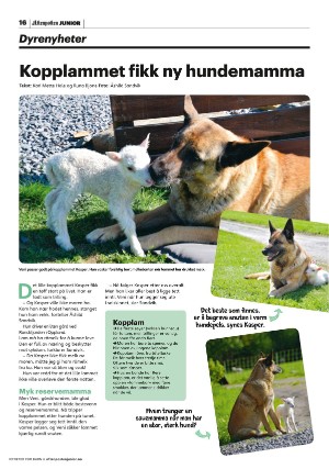 aftenposten_junior-20220518_000_00_00_016.pdf