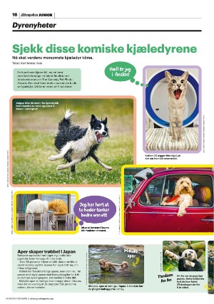 aftenposten_junior-20220802_000_00_00_016.pdf