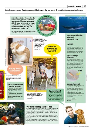 aftenposten_junior-20220802_000_00_00_017.pdf