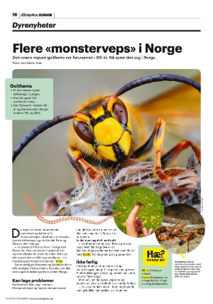 aftenposten_junior-20220906_000_00_00_016.pdf