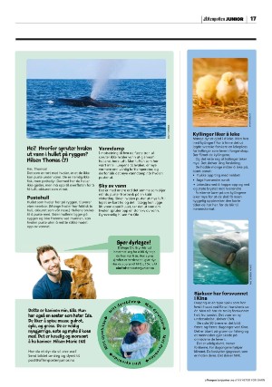 aftenposten_junior-20220906_000_00_00_017.pdf