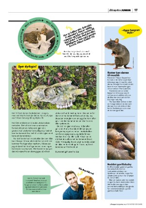 aftenposten_junior-20221129_000_00_00_017.pdf