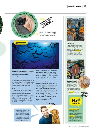 aftenposten_junior-20221220_000_00_00_017.pdf