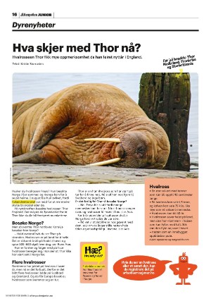 aftenposten_junior-20230110_000_00_00_016.pdf