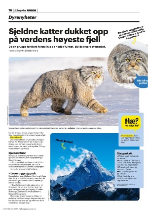 aftenposten_junior-20230207_000_00_00_016.pdf
