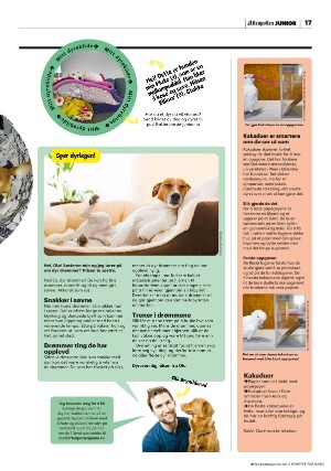 aftenposten_junior-20230228_000_00_00_017.pdf