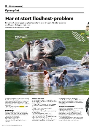aftenposten_junior-20230328_000_00_00_016.pdf