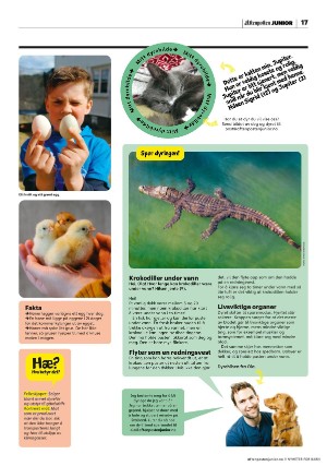 aftenposten_junior-20230404_000_00_00_017.pdf