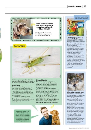 aftenposten_junior-20230509_000_00_00_017.pdf