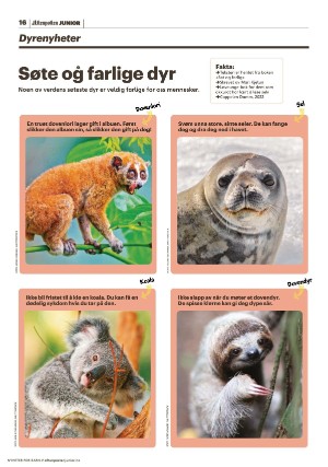 aftenposten_junior-20230530_000_00_00_016.pdf