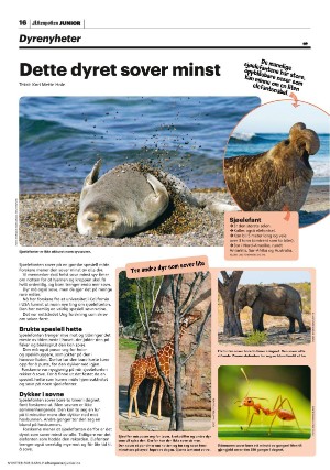 aftenposten_junior-20230606_000_00_00_016.pdf