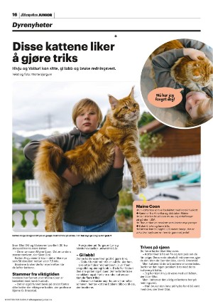 aftenposten_junior-20230613_000_00_00_016.pdf