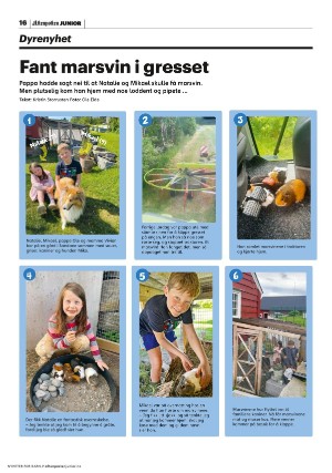 aftenposten_junior-20230627_000_00_00_016.pdf
