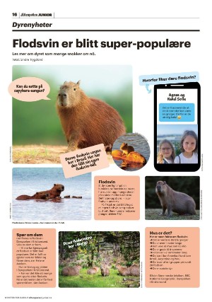 aftenposten_junior-20230711_000_00_00_016.pdf