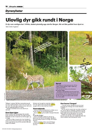 aftenposten_junior-20230725_000_00_00_016.pdf