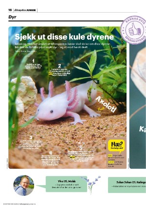 aftenposten_junior-20230801_000_00_00_016.pdf