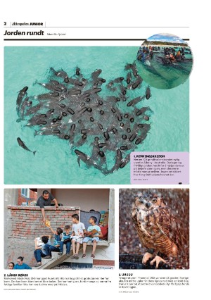 aftenposten_junior-20230808_000_00_00_002.pdf