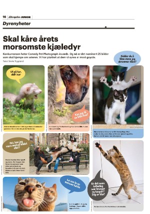aftenposten_junior-20230808_000_00_00_016.pdf