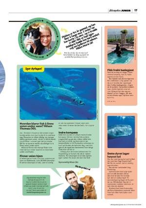 aftenposten_junior-20230815_000_00_00_017.pdf