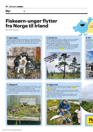 aftenposten_junior-20230829_000_00_00_016.pdf