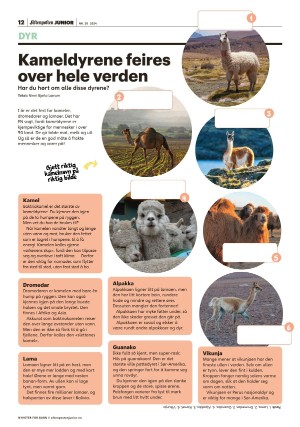 aftenposten_junior-20240514_000_00_00_012.pdf