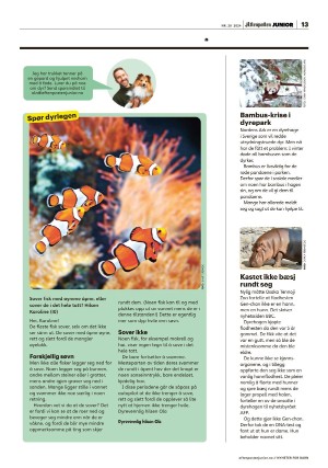 aftenposten_junior-20240514_000_00_00_013.pdf