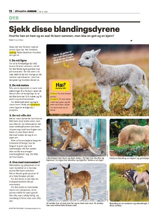 aftenposten_junior-20240521_000_00_00_012.pdf