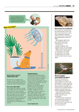 aftenposten_junior-20240604_000_00_00_013.pdf