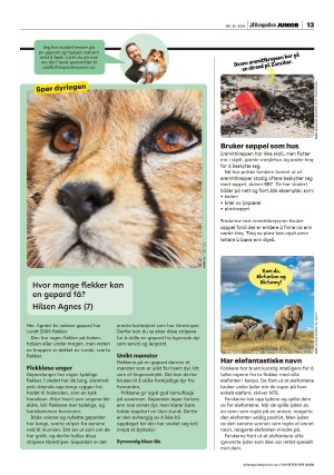 aftenposten_junior-20240618_000_00_00_013.pdf