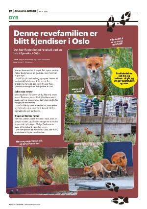 aftenposten_junior-20240625_000_00_00_012.pdf