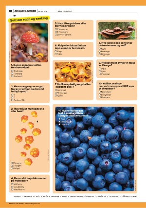 aftenposten_junior-20240813_000_00_00_018.pdf