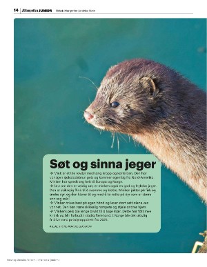 aftenposten_junior-20250519_000_00_00_014.pdf