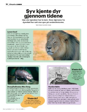 aftenposten_junior-20250519_000_00_00_016.pdf
