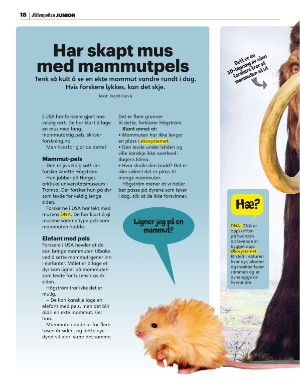aftenposten_junior-20250519_000_00_00_018.pdf