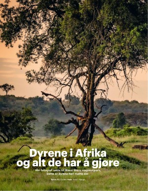 aftenposten_junior-20250519_000_00_00_020.pdf