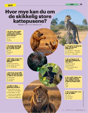 aftenposten_junior-20250519_000_00_00_025.pdf
