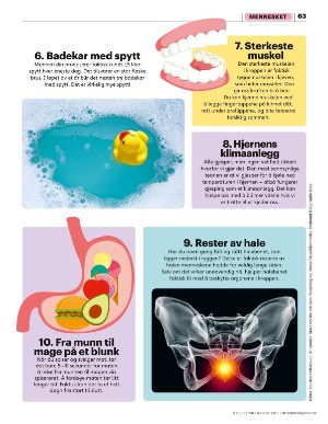 aftenposten_junior-20250519_000_00_00_063.pdf