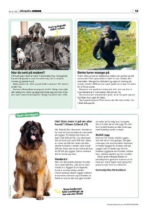 aftenposten_junior-20250520_000_00_00_013.pdf