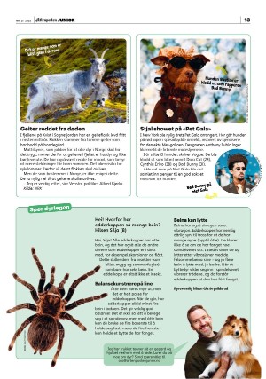 aftenposten_junior-20250527_000_00_00_013.pdf