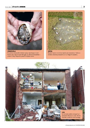 aftenposten_junior-20250603_000_00_00_003.pdf